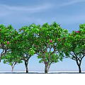 Arboreal Trees With Lush Green Foliage And Pink Flowers Against Blue Sky