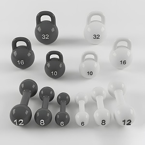 Shot Dumbbell Fitness Equipment 3d model