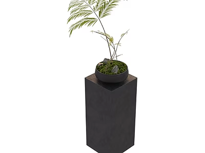 Potted Plant Combination With Fern And Moss On Black Cube Shaped Pedestal 3d model