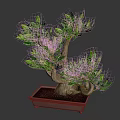 Elegant Bonsai Plant With Green Leaves And Brown Trunk In Square Pot