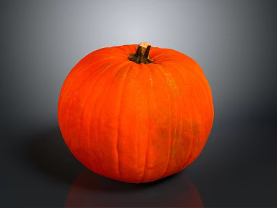 Healthy Organic Fresh Ripe Orange Pumpkin With Smooth Surface On Dark Background 3d model