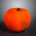 Healthy Organic Fresh Ripe Orange Pumpkin With Smooth Surface On Dark Background