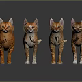 Modern Cat Smokie Cat Smokie Cat Yellow Cat Kitten Cat 3d model