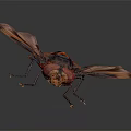 Red And Black Fly With Transparent Wings Detailed Body Structure On Dark Background