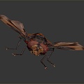 Modern fly insect cartoon fly animation fly anime fly anime character 3d model