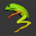 Green Frog Standing With Yellow Eyes And Stretched Limbs On Dark Surface With Reflection
