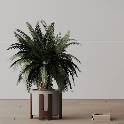 Potted Fern Plant In White Pot With Brown Stripes For Indoor Decor On Wooden Floor 3d model