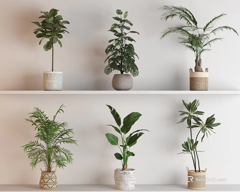 Various Potted Plants With Lush Green Leaves On White Shelf Ceramic And Woven Pots 3d model 