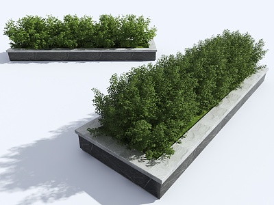 Modern flowerbed bush green plant shrub plant pile landscape tree 3d model