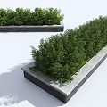 Modern flowerbed bush green plant shrub plant pile landscape tree 3d model