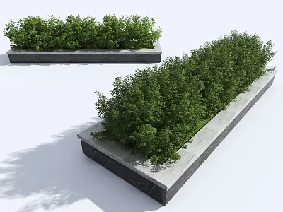 Roadside Landscaping Facilities With Rectangular Concrete Planters And Green Bushes 3d model