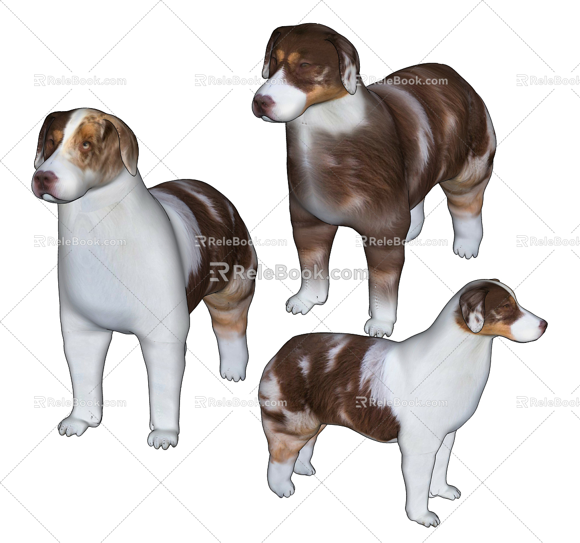 Modern Dog Australian Shepherd 3d model