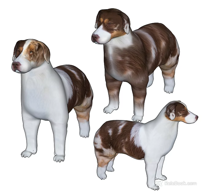 Brown And White Reptiles Showing Various Standing Poses For Pet Lovers 3d model 
