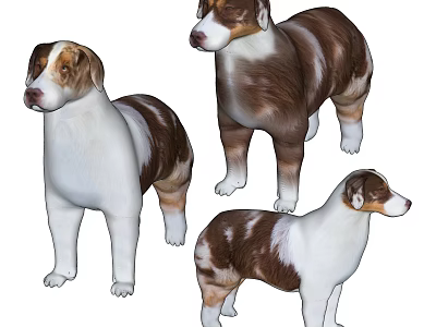 Modern Dog Australian Shepherd 3d model