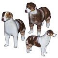 Modern Dog Australian Shepherd 3d model