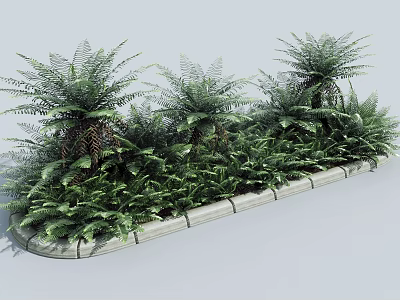 Lush Green Shrubs Including Various Ferns In Long Rectangular Planter 3d model