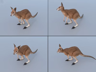 Realistic Reptile 3D Model Display From Multiple Angles With Detailed Features 3d model