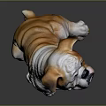 Bulldog Sculpture in Sitting Pose with White and Light Brown Color on Dark Background