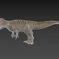 Realistic Tyrannosaurus Rex 3D Model With Open Mouth Sharp Teeth And Detailed Texture