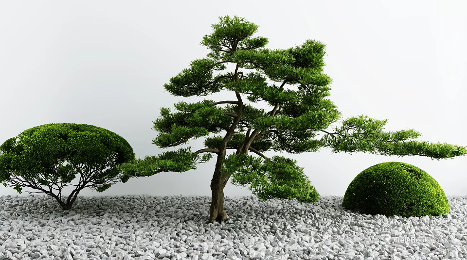 Lush Green Tree with Trimmed Round Shrubs on White Gravel and White Wall Background 3d model 