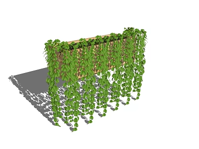 Lush Green Vines Covering Wooden Trellis Gracefully Hanging With Dense Foliage 3d model