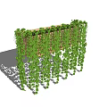 Lush Green Vines Covering Wooden Trellis Gracefully Hanging With Dense Foliage