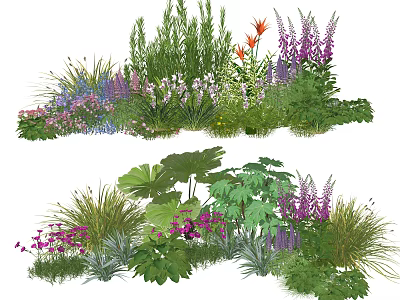 Colorful Plant Combination With Various Herbs Flowers Large Leaf Plants And Rich Colors 3d model