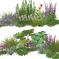 Colorful Plant Combination With Various Herbs Flowers Large Leaf Plants And Rich Colors
