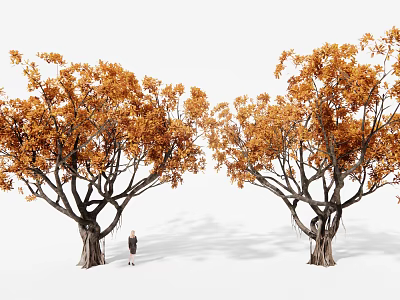 Two Tall Arbors With Vibrant Orange Leaves And Person Standing Between Them 3d model