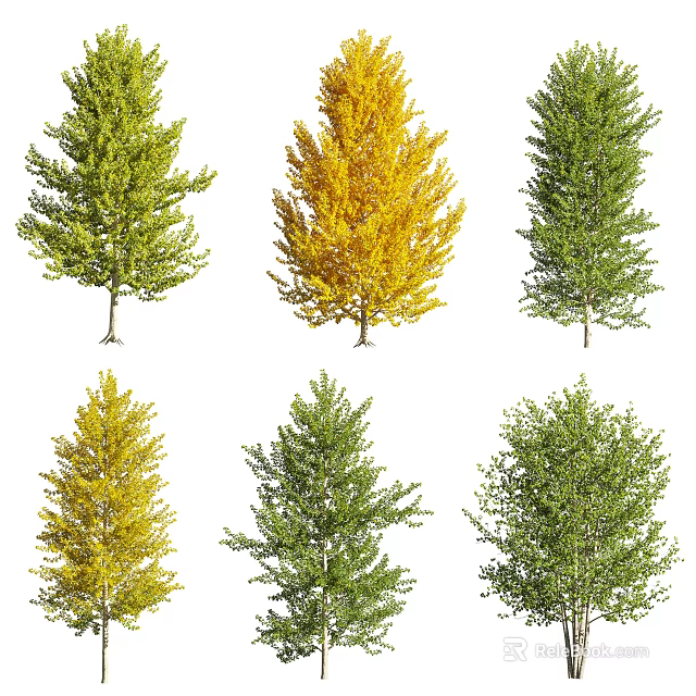 Vibrant Arbor Trees With Green And Yellow Lush Foliage In Natural Design 3d model 