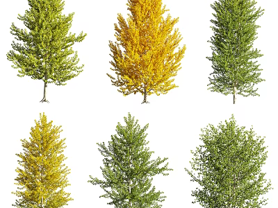 Vibrant Arbor Trees With Green And Yellow Lush Foliage In Natural Design 3d model
