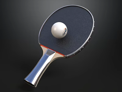 Professional Table Tennis Racket With White Ball And Silver Handle Design 3d model