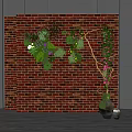 Bonsai and Potted Plants Hanging on Red Brick Wall with Decorative Vase