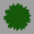 Tall Arbor Trees With Lush Green Foliage And Human Silhouette For Scale