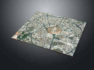Satellite View City Map With Circular Center Radial Roads And Buildings 3d model