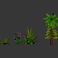 Collection of Various Plants Including Pine Trees Palm Trees Herbs And Aquatic Plants
