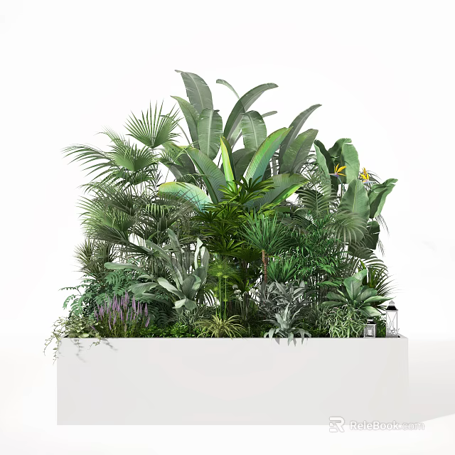 Bonsai Potted Plants With Various Green Tropical Leaves In White Rectangular Planter 3d model 