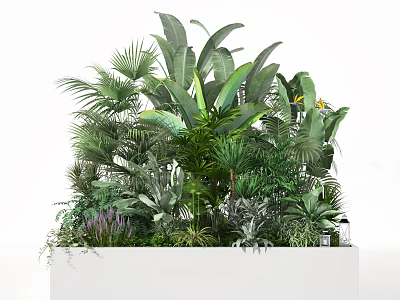 Bonsai Potted Plants With Various Green Tropical Leaves In White Rectangular Planter 3d model