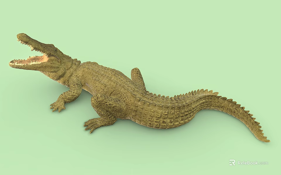 Crocodile with Open Mouth and Rough Textured Skin Lying on Green Background 3d model 