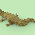 Crocodile with Open Mouth and Rough Textured Skin Lying on Green Background