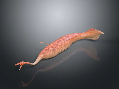 Realistic 3D Rendering Of Pink Spotted Creature With Long Snout Tail And Fins 3d model
