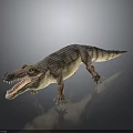 Realistic Crocodile 3D Model With Open Mouth Sharp Teeth And Striped Skin 3d model