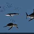 Marine Reptile Sea Turtle Swimming With Sharks Fish And Whales In Blue Ocean