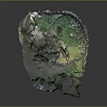 Wood And Stone 3D Model Natural Landscape With Moss Green Plants And Rock Textures