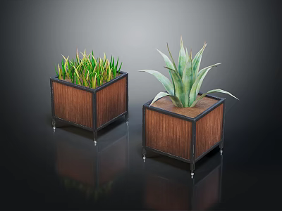 Green Grass Like And Aloe Like Plants In Wooden Square Planters With Black Frames 3d model