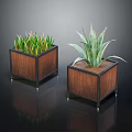 Green Grass Like And Aloe Like Plants In Wooden Square Planters With Black Frames