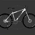 GIANT Bicycle With White Frame Black Seat And Modern Design Black Tires