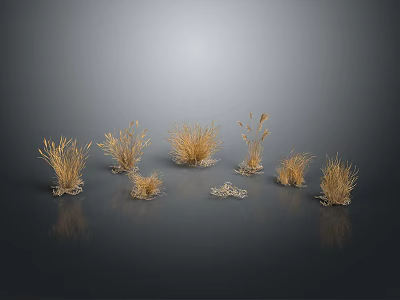 Golden Grass Plants with Various Shapes and Heights on Dark Background with Ground Reflection 3d model