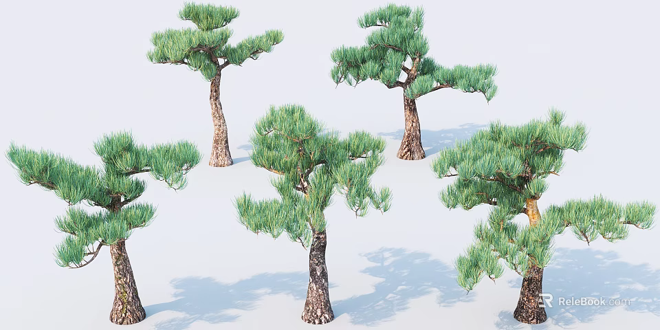 Lush Evergreen Arbor Trees With Green Foliage Textured Trunks And Natural Shadows 3d model 