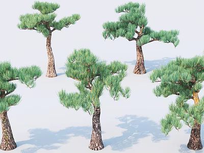 Lush Evergreen Arbor Trees With Green Foliage Textured Trunks And Natural Shadows 3d model